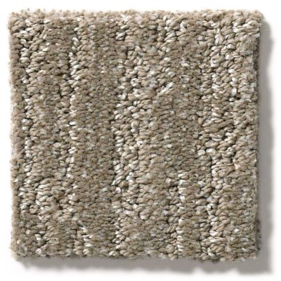Shaw Floors Simply The Best Easy Fit Papoose 5E254_00700