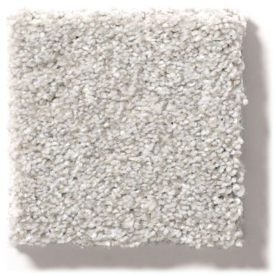 Shaw Floors Simply The Best Make It Mine II Soft Fleece 5E256_00120