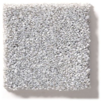 Shaw Floors Simply The Best Make It Mine II Sterling 5E256_00520
