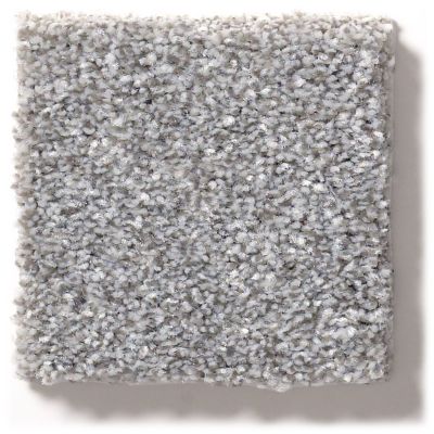 Shaw Floors Simply The Best Make It Mine II Arctic Shadow 5E256_00521