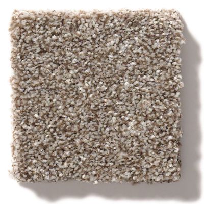 Shaw Floors Simply The Best Make It Mine II Fox Hollow 5E256_00722