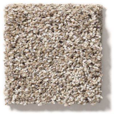 Shaw Floors Simply The Best After It II Neutral Ground 5E258_00101