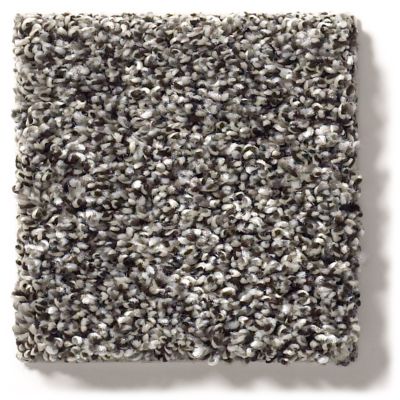 Shaw Floors Simply The Best After It II Anchor 5E258_00501