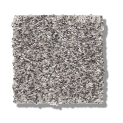 Shaw Floors Simply The Best Within Reach II Serene Still 5E260_00101