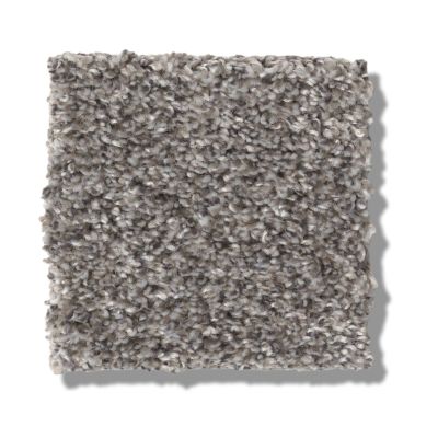 Shaw Floors Simply The Best Within Reach II Shoreline 5E260_00106