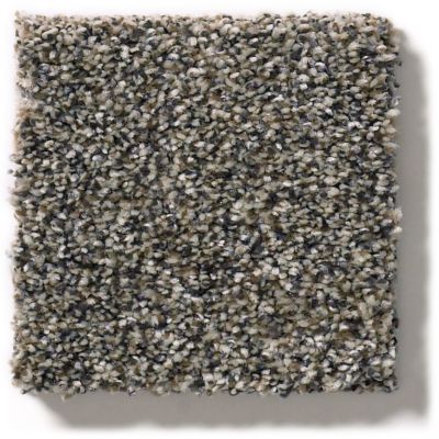 Shaw Floors Simply The Best Within Reach II Beige Bisque 5E260_00110