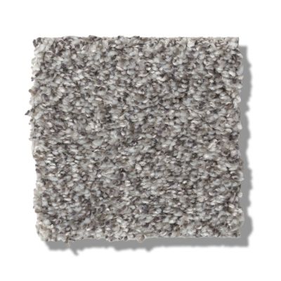 Shaw Floors Simply The Best Within Reach II Grey Fox 5E260_00504