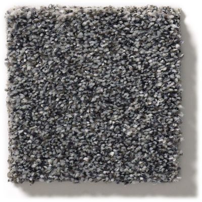 Shaw Floors Simply The Best Within Reach II Smokescreen 5E260_00705