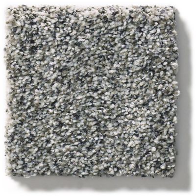 Shaw Floors Simply The Best Within Reach III Shoreline 5E261_00106