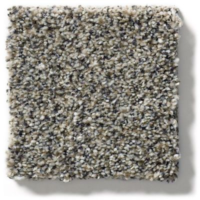 Shaw Floors Simply The Best Within Reach III Kidskin 5E261_00109