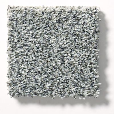 Shaw Floors Simply The Best Within Reach III Grey Fox 5E261_00504