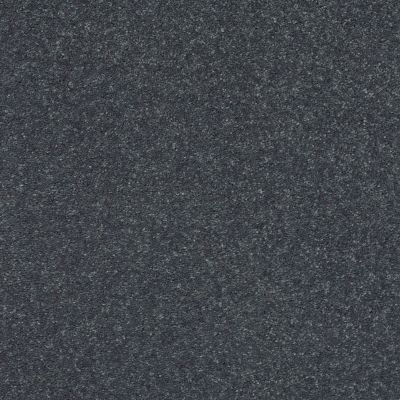 Shaw Floors Simply The Best Solidify I 12′ Iron 00501_5E262