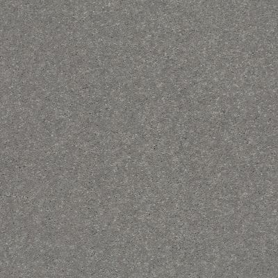 Shaw Floors Simply The Best Solidify I 12′ Taupe Stone 00502_5E262