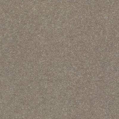 Shaw Floors Simply The Best Solidify II 12′ Natural Contour 00104_5E264