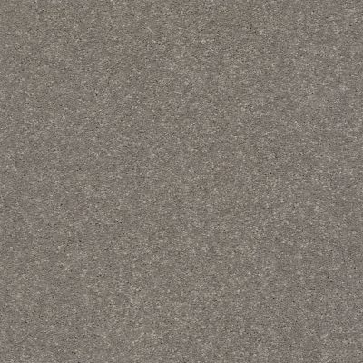 Shaw Floors Simply The Best Solidify II 12′ Tree Bark 00700_5E264
