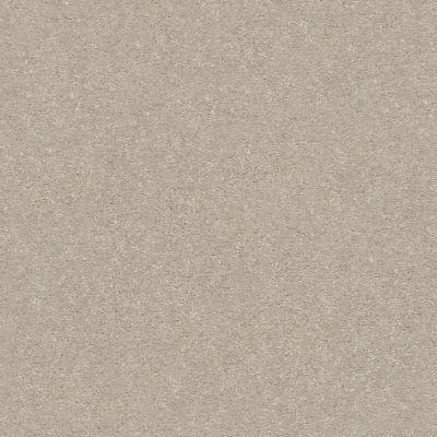 Shaw Floors Solidify II 15′ Dreamy 00103_5E265