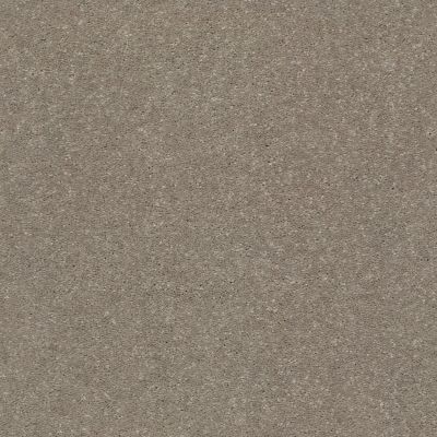 Shaw Floors Solidify II 15′ Natural Contour 00104_5E265