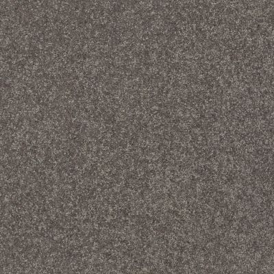 Shaw Floors Solidify II 15′ Pewter 00701_5E265