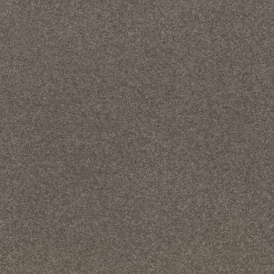 Shaw Floors Simply The Best Solidify III 12′ Pewter 00701_5E266