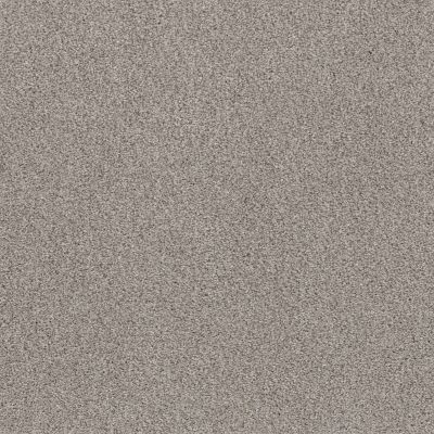 Shaw Floors Pet Perfect Plus Calm Serenity I River Run 00700_5E270