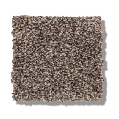 Shaw Floors Bellera Calm Simplicity I Antelope 5E271_00714
