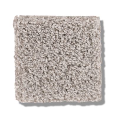 Shaw Floors Bellera Calm Serenity II Split Sediment 5E272_00104