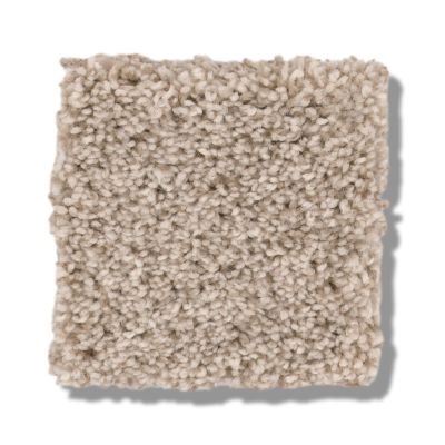 Shaw Floors Bellera Calm Serenity II Kidskin 5E272_00109