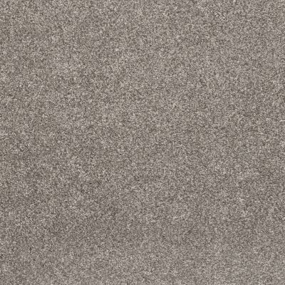 Shaw Floors Pet Perfect Plus Calm Simplicity II Washed Linen 00113_5E273