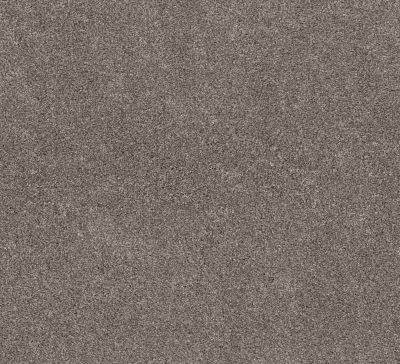 Shaw Floors Pet Perfect Plus Calm Simplicity II Desert View 00711_5E273