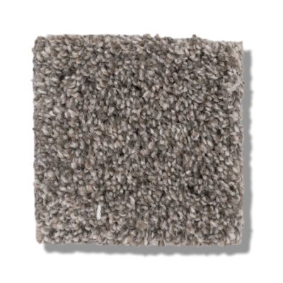 Shaw Floors Bellera Calm Simplicity II Desert View 5E273_00711
