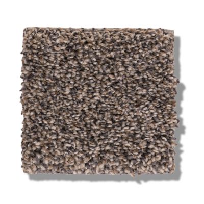 Shaw Floors Bellera Calm Simplicity II Antelope 5E273_00714