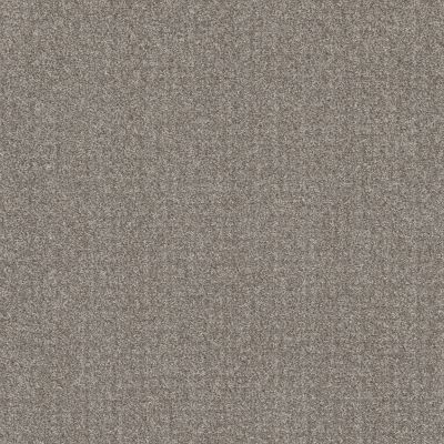 Shaw Floors Pet Perfect Plus Secret Passage River Run 00700_5E279