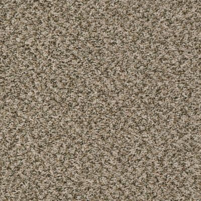 Shaw Floors Value Collections Break Away (b) Net Burlap 00110_5E281