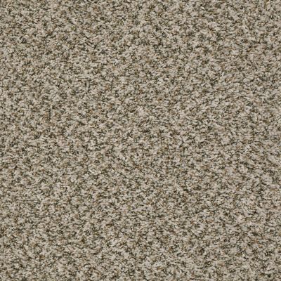 Shaw Floors Value Collections Break Away (b) Net Sugar Cookie 00132_5E281