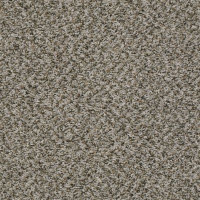 Shaw Floors Value Collections Break Away (b) Net Dolphin 00500_5E281