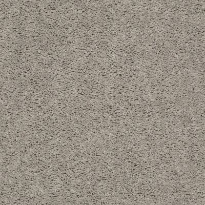 Shaw Floors Value Collections Break Away (s) Net Whisper 00112_5E282