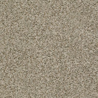 Shaw Floors Value Collections Break Away (t) Net Flax 00112_5E283