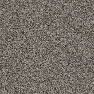 Shaw Floors Value Collections Break Away (t) Net Washed Suede 00511_5E283