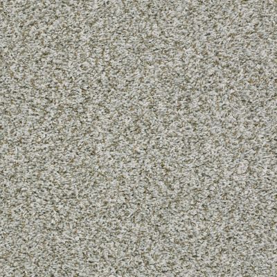 Shaw Floors Value Collections Break Away (t) Net Chrome 00520_5E283