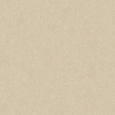 Shaw Floors Heroic Silk Thread 00143_5E287