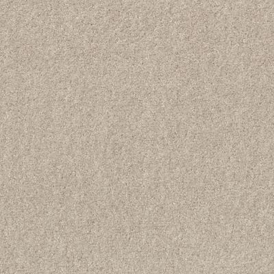 Shaw Floors Valiant Marble White 00190_5E288