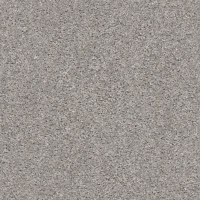 Shaw Floors Valiant Raindance 00591_5E288