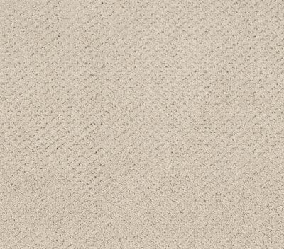 Shaw Floors Foundations Mainstay Washed Linen 00103_5E292