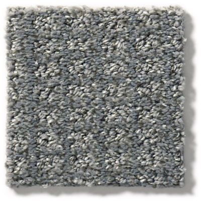 Shop Shaw Floors Simply The Best Stay Fit Deck 00500 5e320 Carpet