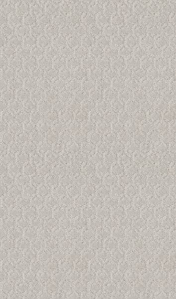 Shaw Floors Simply The Best Valid Mist 00101_5E323