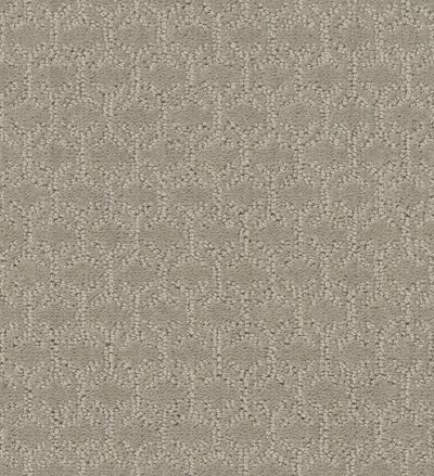 Shaw Floors Simply The Best Valid Twine 00108_5E323