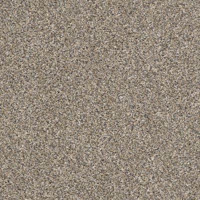 Shaw Terrific Pebble Walk W2WIS-5E334-102