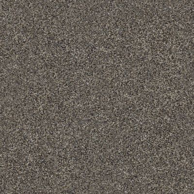 Shaw Floors Simply The Best Within Reach I Net Beige Bisque 00110_5E335