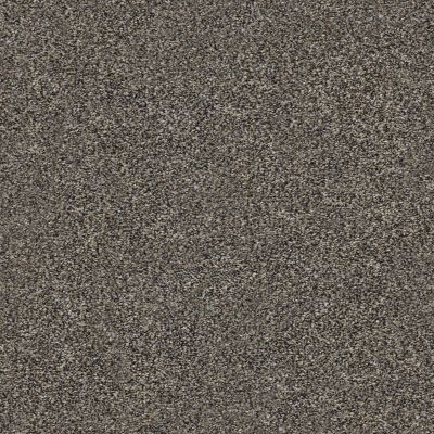Shaw Floors Value Collections Within Reach II Net Beige Bisque 00110_5E336