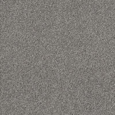 Shaw Floors Value Collections Within Reach II Net Grey Fox 00504_5E336